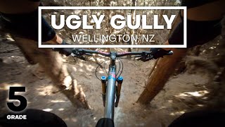 DROPS, SWITCHBACKS & LOAM - Ugly Gully...