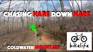 Hare, Eastman Flow, Radio Gaga, Rocky MTB...
