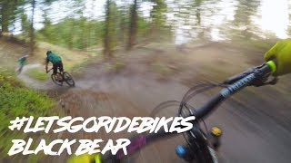 Black Bear Three Blind Mice Penticton