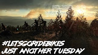 Just Another Tuesday | Three Blind Mice |...