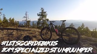 2019 Specialized Stumpjumper Demo