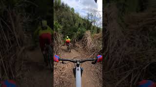 Canyon Mtb Trail (Sorrivoli -Cesena-)