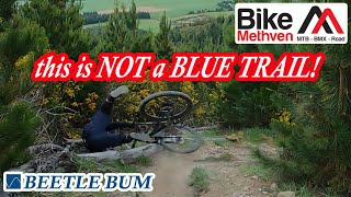 MT HUTT FOREST BIKE PARK | BEETLE BUM | THIS...