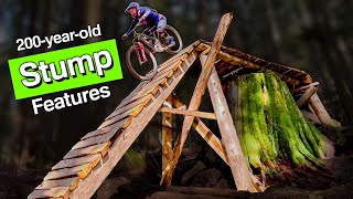 200-Year-Old Stumps Get a Second Life As MTB...