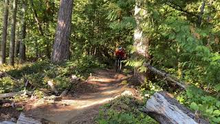 Brutus road gap cypress mountain