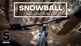 TIGHT, LOAMY SWITCHBACKS - Snowball Mountain...