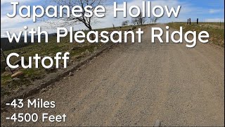 Japanese Hollow with Pleasant Ridge Cutoff