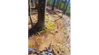 Weaving Through Trees Early Season In Vermont...