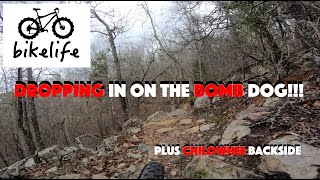Bomb Dog Mountain Bike Trail - MTBing...