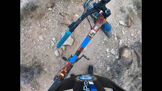 Raw Clip #20 Cactus for days... (Kibbles &...