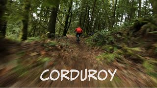 Cruising on Corduroy Trail - Bear Mountain