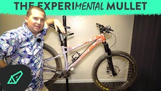 The Plus Mullet Experiment - Getting...