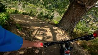 Slamingtons - Lamingtons  @ That Place MTB Park