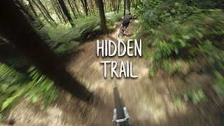 Oropi Grove | Hidden Trail POV