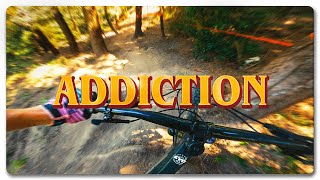 ADDICTION  |  Christchurch Adventure Park...