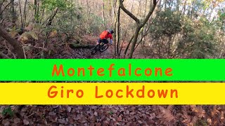 MTB Montefalcone 14.11.2020 Giro...