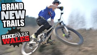 FIRST RIDE ON BRAND NEW DOWNHILL MTB TRAILS -...