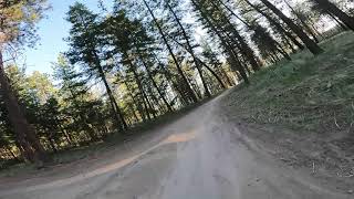Simpson Trail SO MUCH FUN! Ten year old riding!