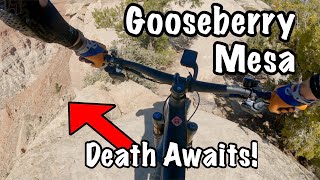 UT MTB ♦︎ The must do ride before you die....