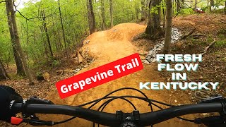 New Jumps and Flow in Kentucky \\ Grapevine...