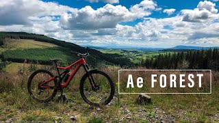 Ae Forest Is Open Again! - Ae Forest Mtb Vlog...