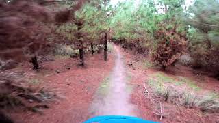 The Downhill - Maryvale Pines mtb park