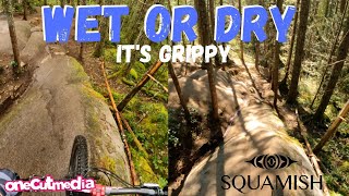 Wet or Dry the Granite is GRIPPY in Squamish...