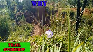 Lake Canobolas MTB Park (Linky Bob) 'Blue Square'