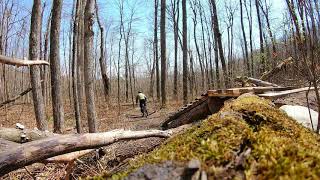 Dufferin County Forest - Mono Tract - South Loop
