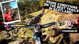 The Best MTB Trails at Thornielee! Prime...