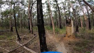 Track 2 Jumping Jackaroo - Nowa Nowa MTB Park
