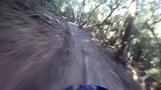 Woodhooker