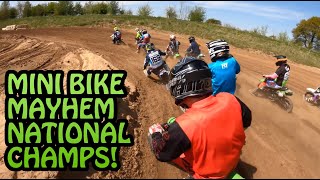 MINI BIKE CHAMPS MAYHEM LSD!