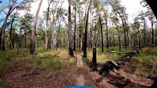 Track 5 Wallaby Ramble downhill section 4k