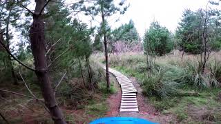 Freddo Maryvale Pines