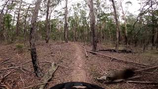 Howards Track - Colquhoun MTB Park