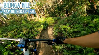 Log Rides and Tight Trees Along The QLD/NSW...
