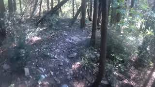 I Tre Porcellini - Calvana MTB - Sentieri di...