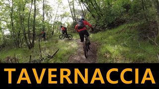 MTB Roveta 01.05.2021 sentiero TAVERNACCIA ...