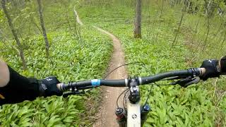 Blassenstein | Singletrail