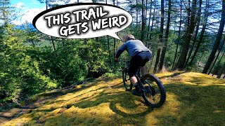 'This Trail Gets WEIRD' | MTB