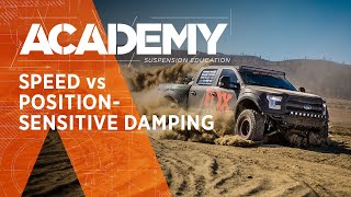 ACADEMY: Speed vs. Position-Sensitive Damping...