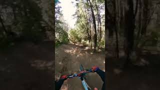 Trail Dogs Sky Parks Santas Village Group Ride...