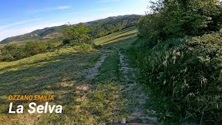 La Selva (Ozzano Emilia, BO) 04-05-2021