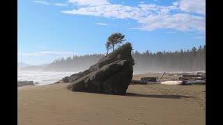 Hiking The West Coast Trail