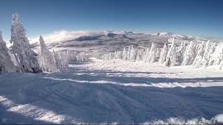 Mount Washington Post Snowmaggedon