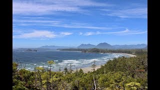 Tofino Summer