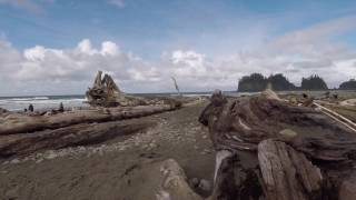 Washington - Olympic National Park
