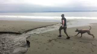 Koobs Jumping