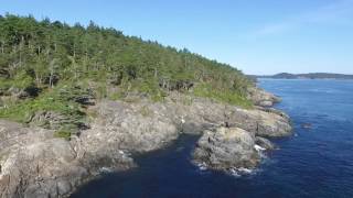 East Sooke Park + Orcas